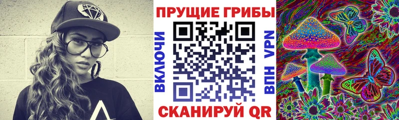 Купить  Болхов  Псилоцибиновые грибы Cubensis 